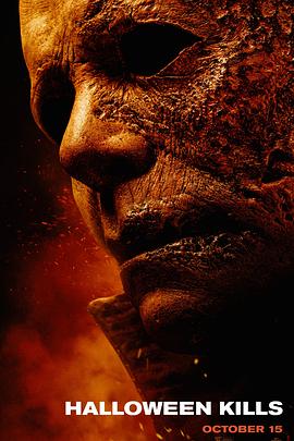 阅读网站数量排名优化